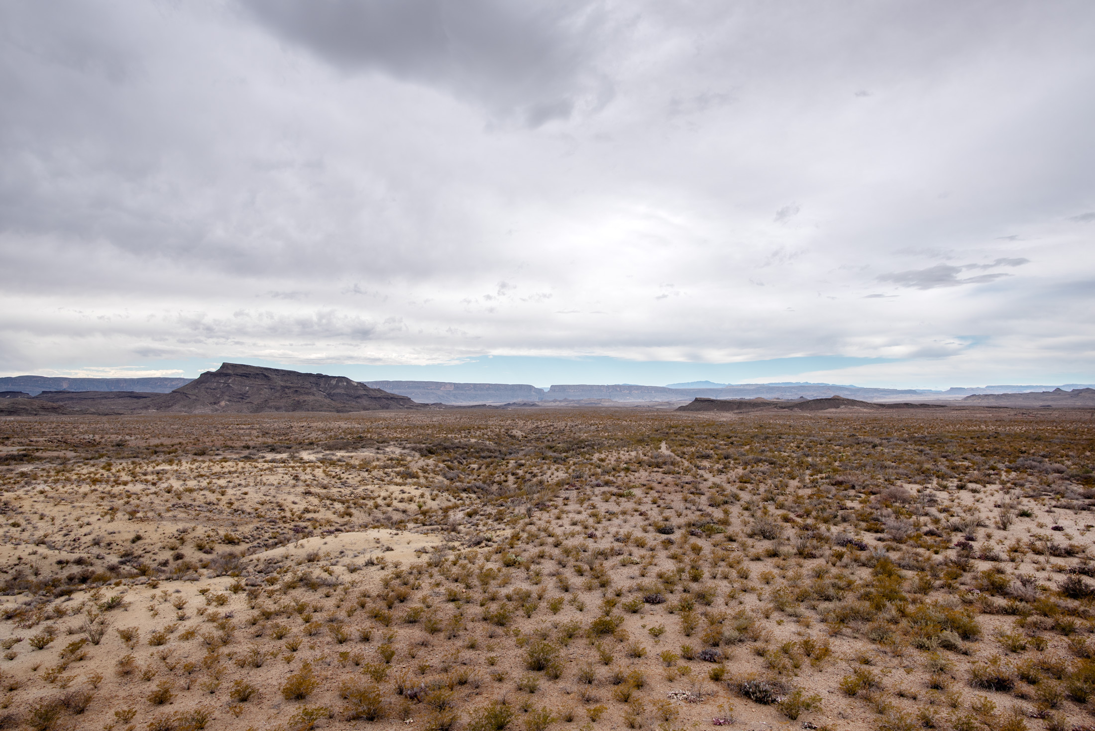 Toward Santa Elena — Desert scrub runs flat and quiet toward distant mesas in Big Bend National Park, Texas