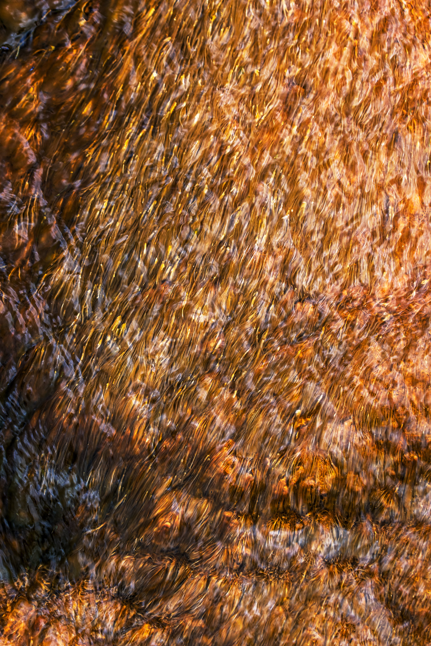 Orange and Gold — A long exposure turns a rushing Yellowstone river to molten copper and gold