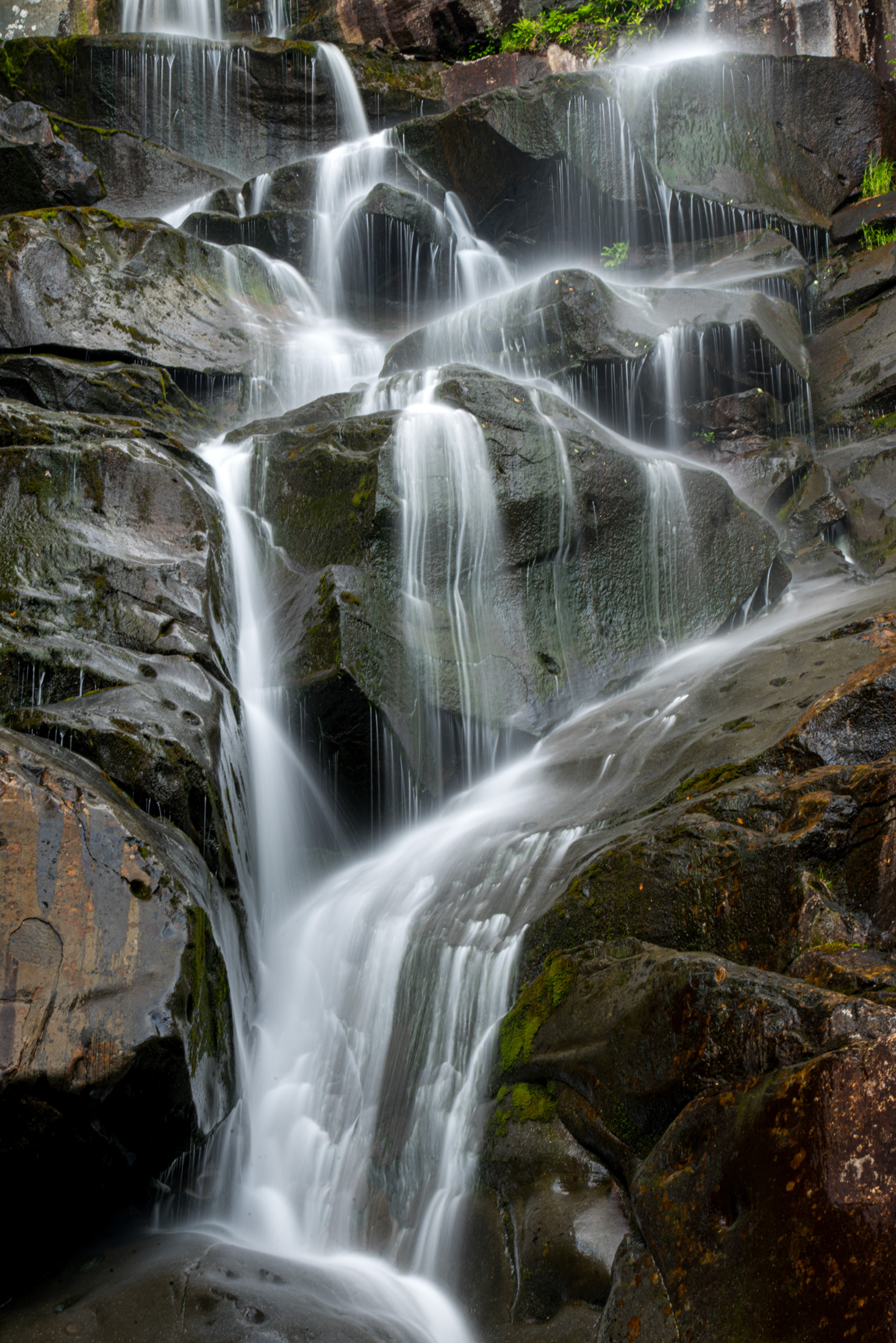 Ramsey Cascades — Silk-smooth water threads down the dark rocks of Ramsey Cascades in the Smokies
