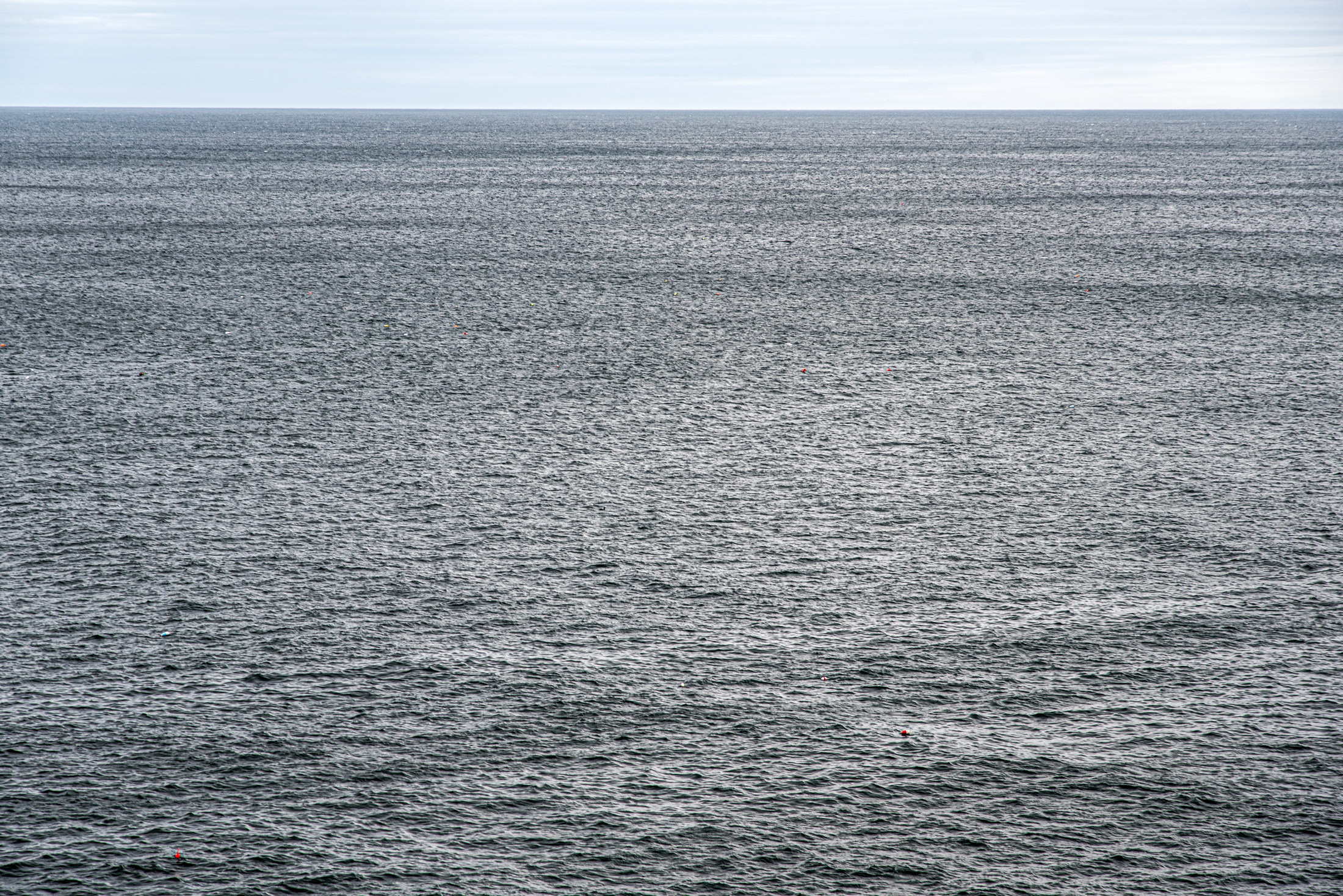 Endless Atlantic — The open waters of the Atlantic Ocean stretch beyond the shores of Acadia National Park, capturing the quiet beauty and timeless rhythm of Maine's coast.
