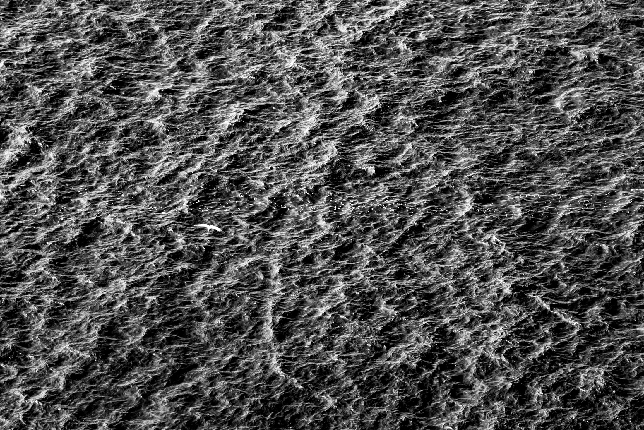 Restless Waters — Wind and water converge in an abstract study of texture, movement, and light.