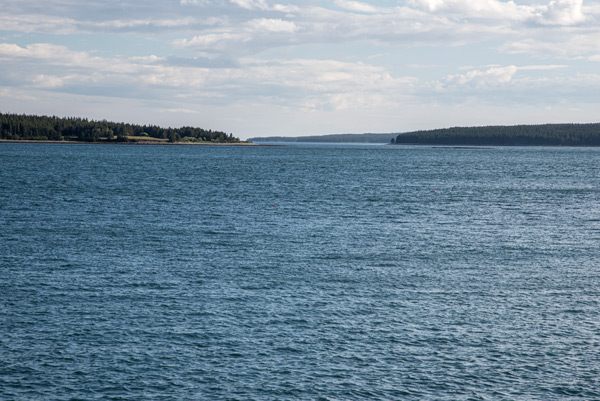 Where the Atlantic Meets the Pines — Soft light and gentle waves meet the forested shores of Maine's Atlantic coast.