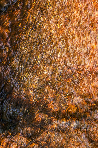 Orange and Gold — A long exposure turns a rushing Yellowstone river to molten copper and gold