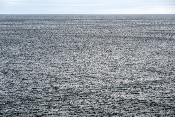 Endless Atlantic — The open waters of the Atlantic Ocean stretch beyond the shores of Acadia National Park, capturing the quiet beauty and timeless rhythm of Maine's coast.