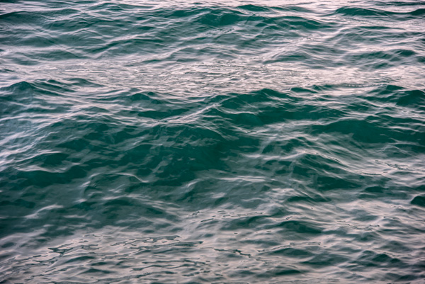 Emerald Currents — The ever-changing surface of Lake Michigan reflects subtle light and color, inviting a moment of reflection.